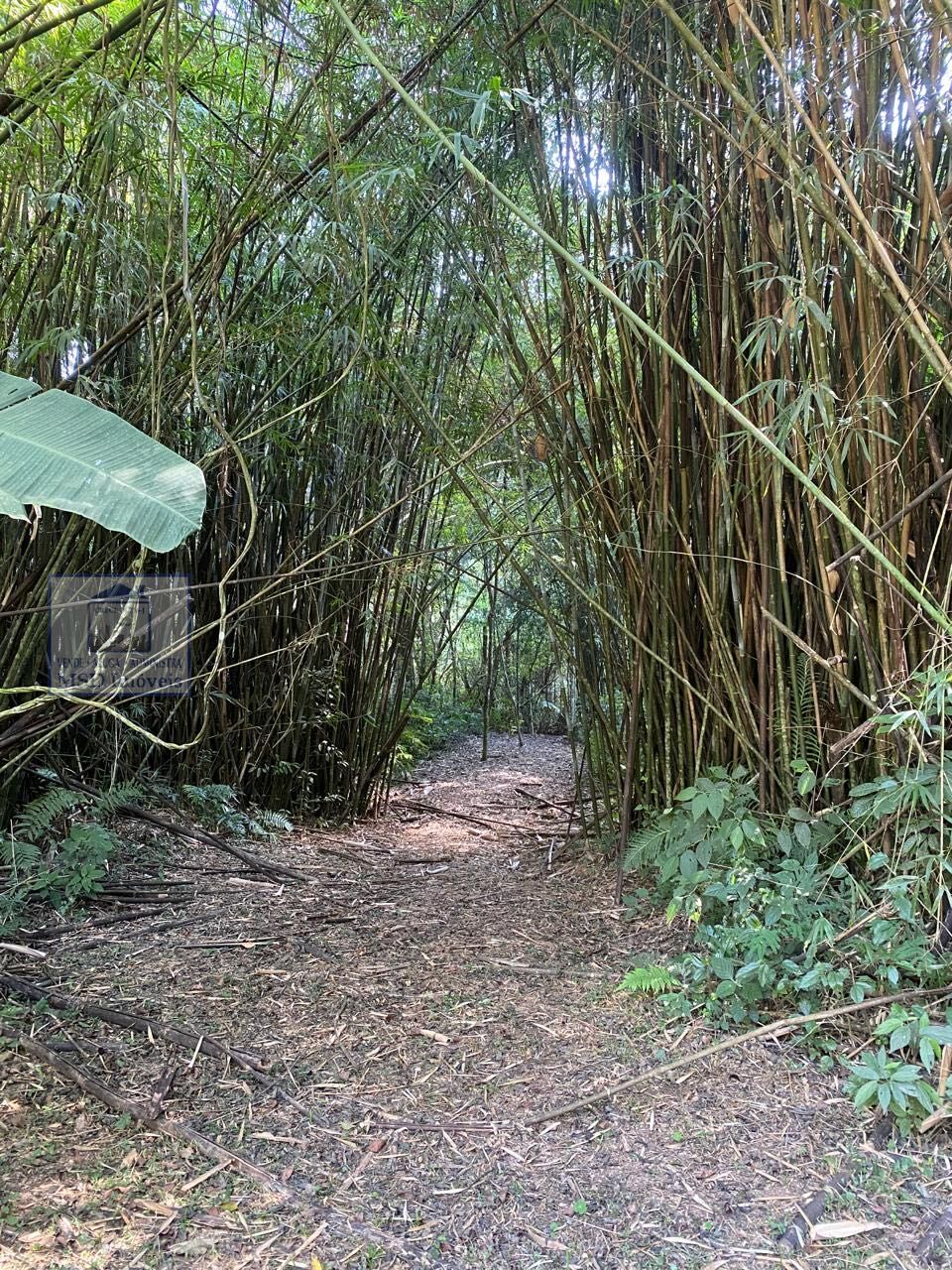 Fazenda à venda com 5 quartos, 35000m² - Foto 18