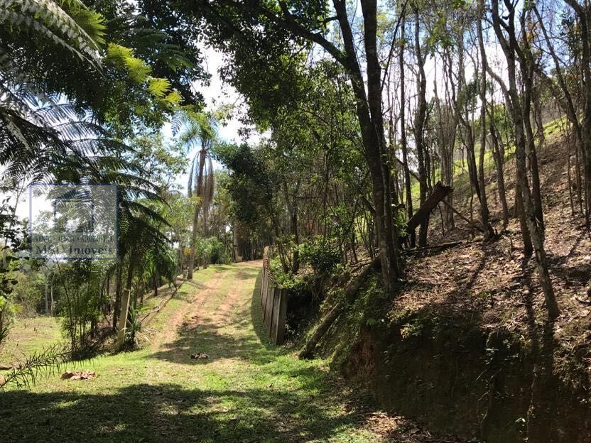 Fazenda à venda com 5 quartos, 35000m² - Foto 11