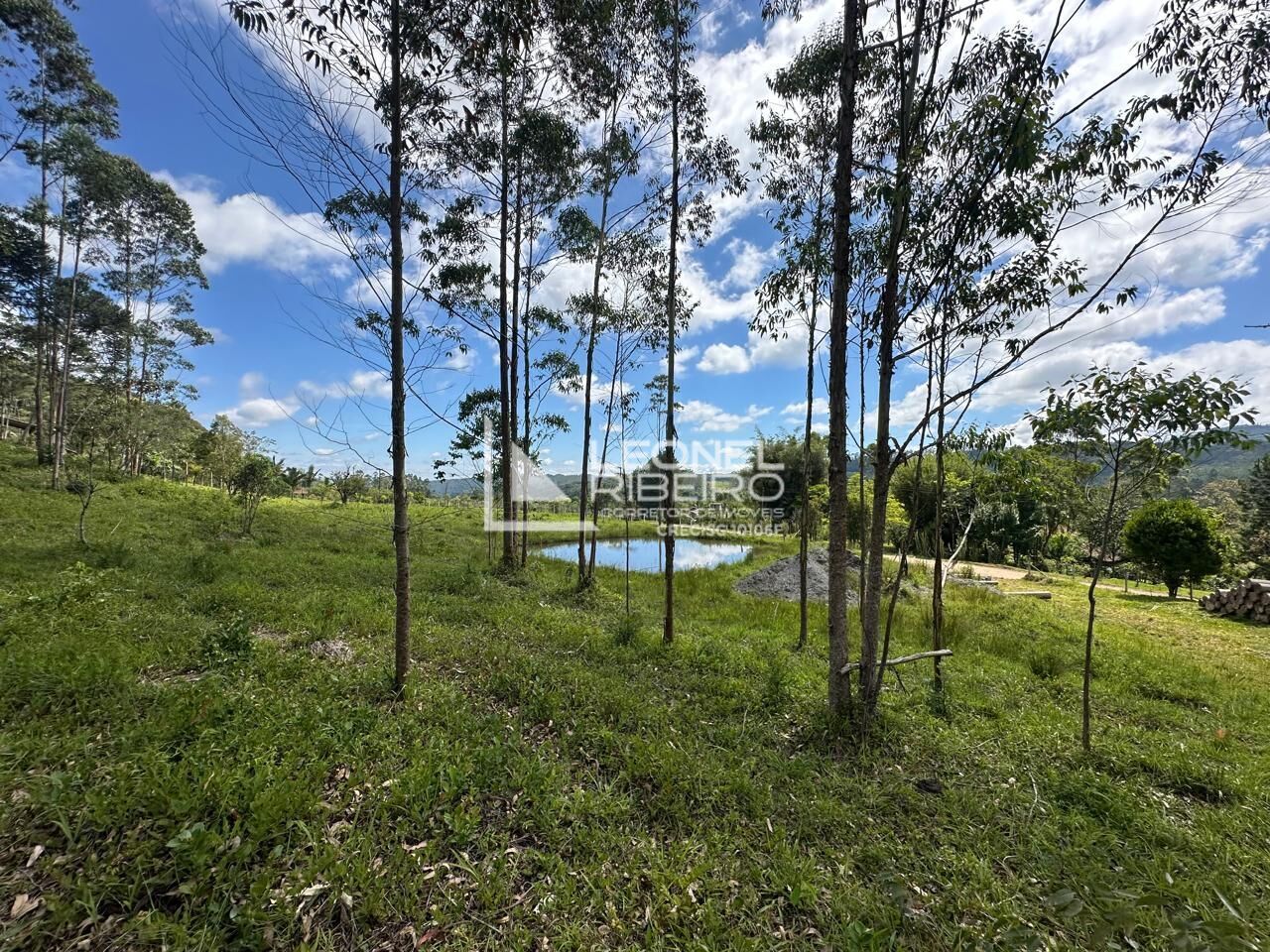 Terreno rural à venda, 79.706m no bairro Alto Liberdade em Benedito Novo/SC - foto 1