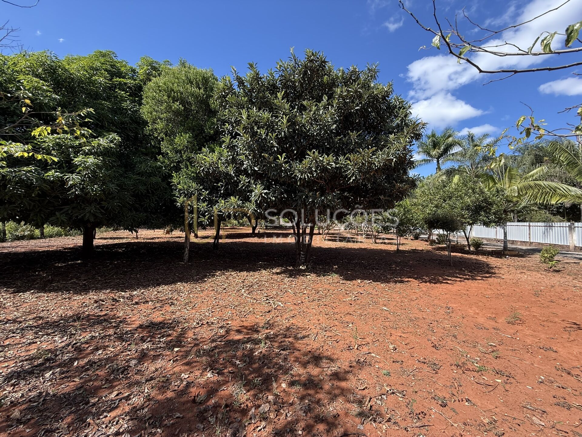 Chácara, 5 quartos, 6400 m² - Foto 40