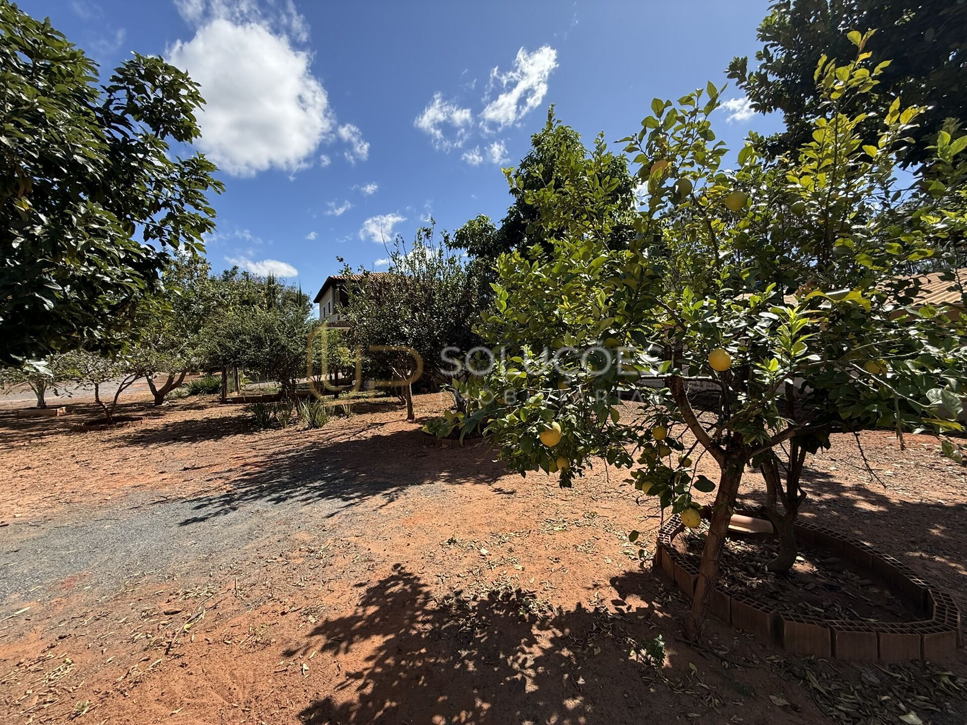 Chácara, 5 quartos, 6400 m² - Foto 34