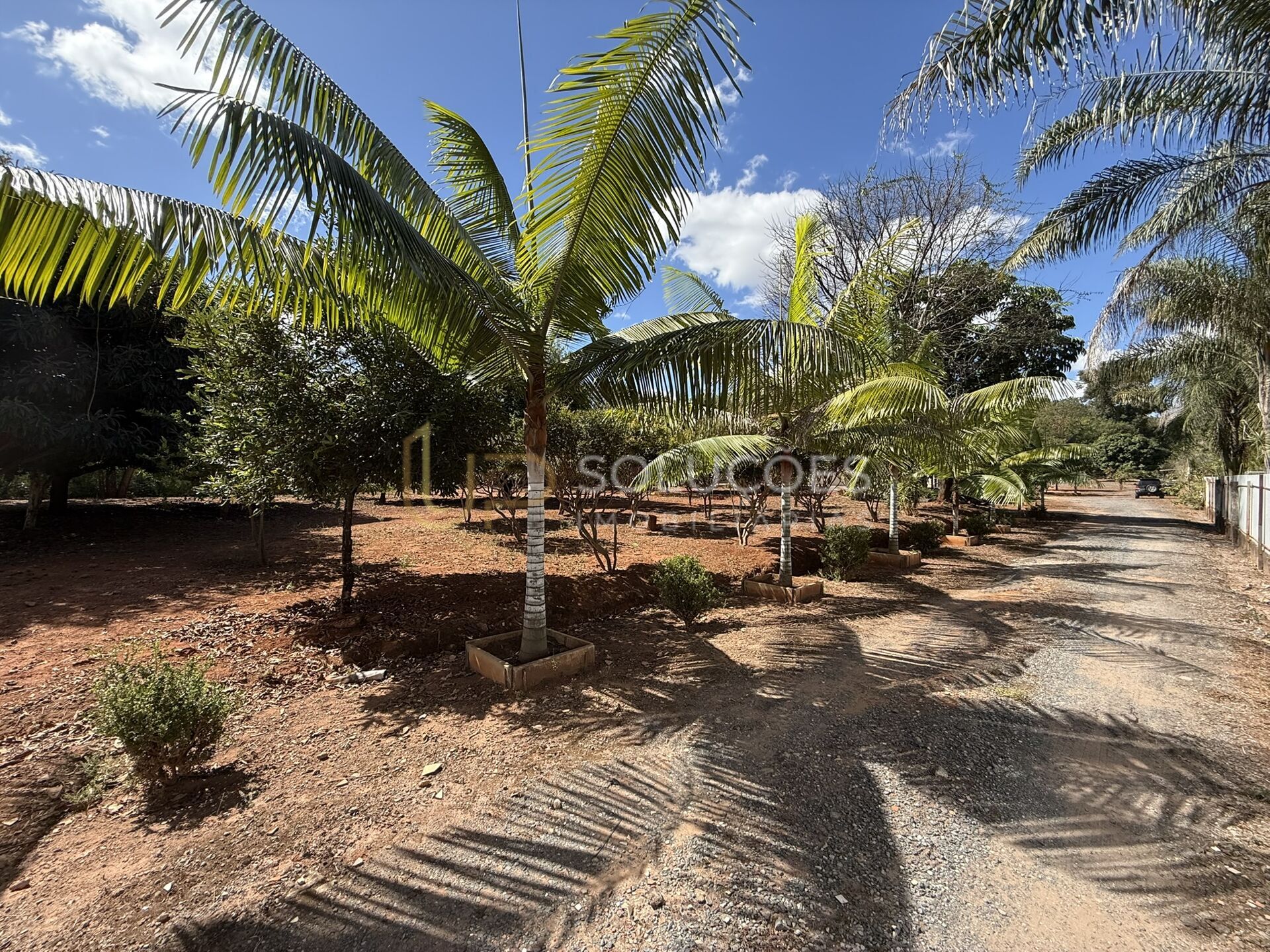 Chácara, 5 quartos, 6400 m² - Foto 43