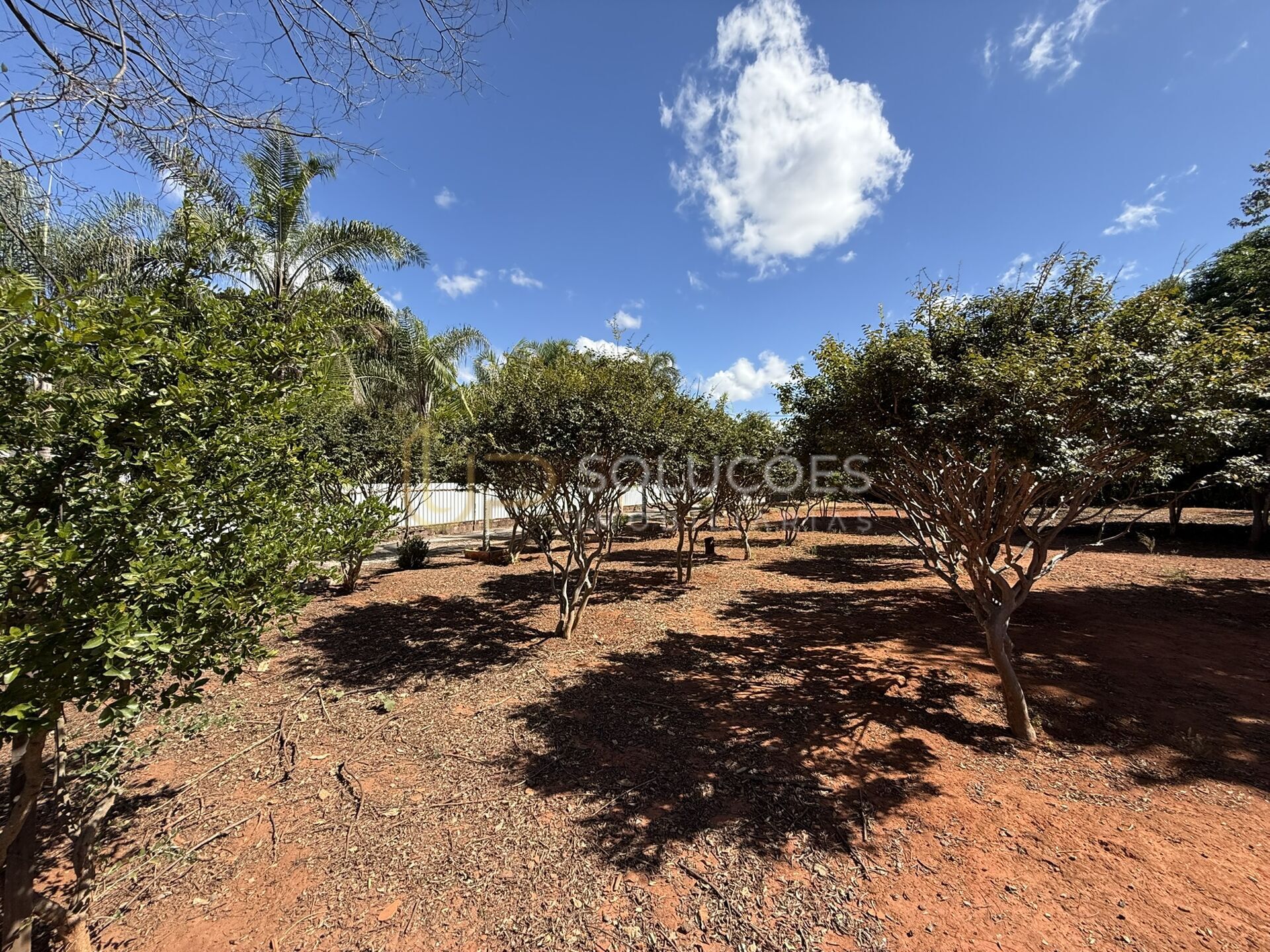 Chácara, 5 quartos, 6400 m² - Foto 39