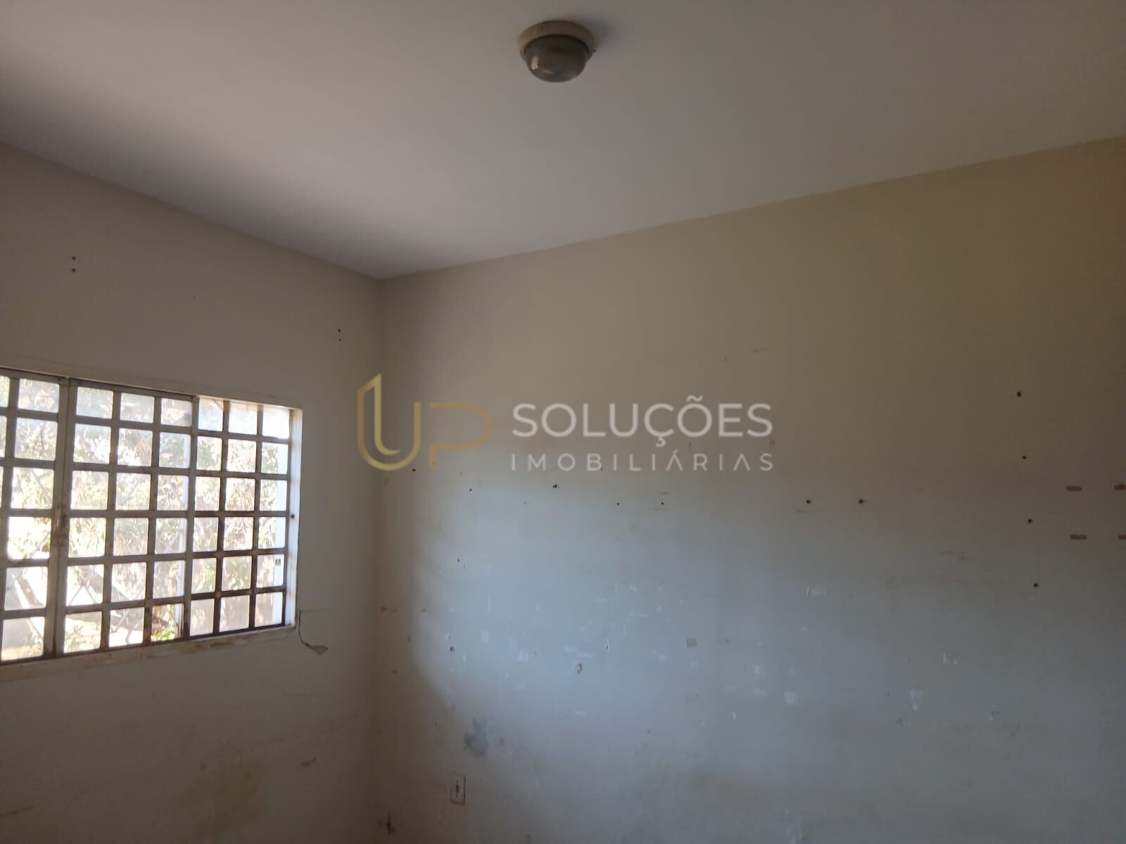 Casa, 3 quartos, 650 m² - Foto 3
