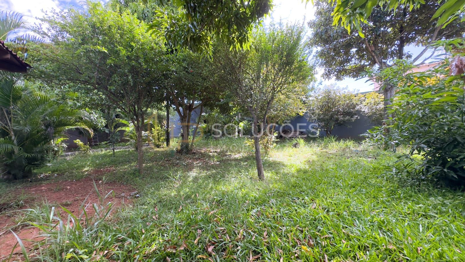 Casa, 3 quartos, 1000 m² - Foto 39