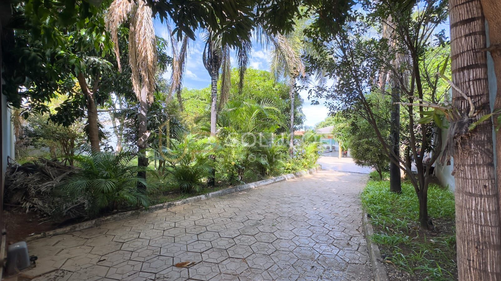 Casa, 3 quartos, 1000 m² - Foto 36