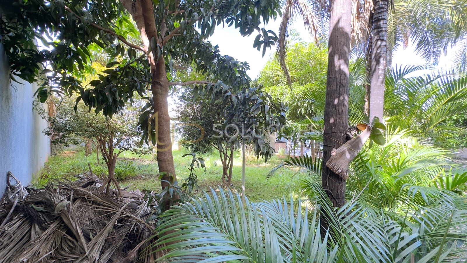 Casa, 3 quartos, 1000 m² - Foto 40