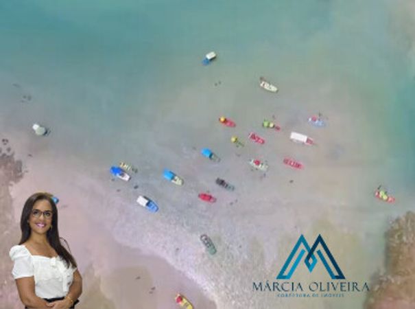 Rota Ecológica na Costa dos Corais, em Alagoas, encanta os visitantes