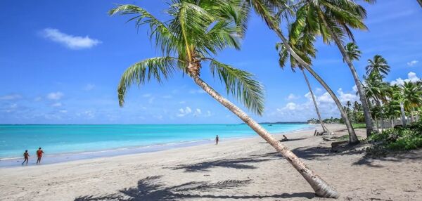 Maragogi: O Investimento Que Está Valorizando Mais Rápido Do Que Você Imagina