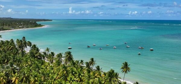 Descubra o mercado imobiliário em São Miguel dos Milagres: um paraíso litorâneo em Alagoas