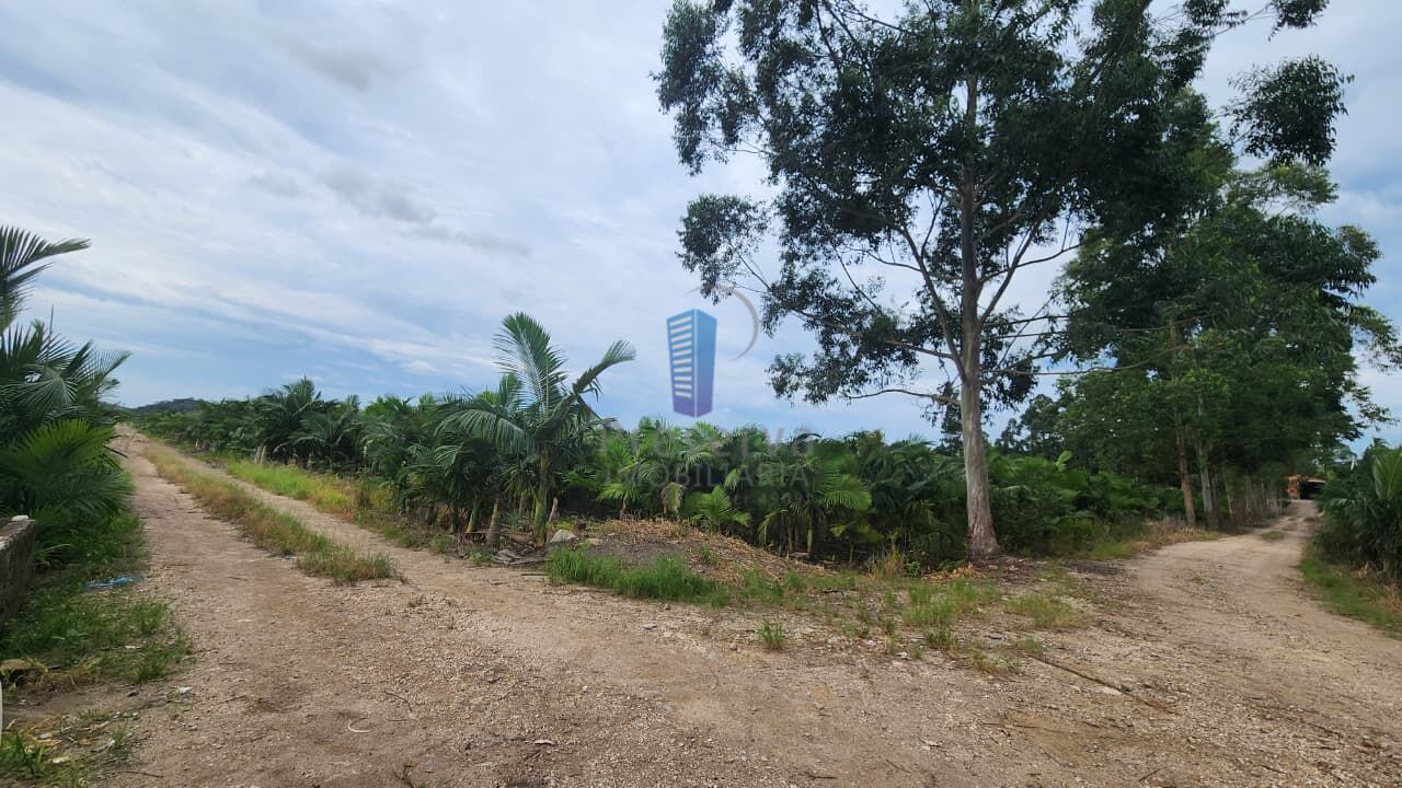 Terreno, 68 hectares - Foto 4