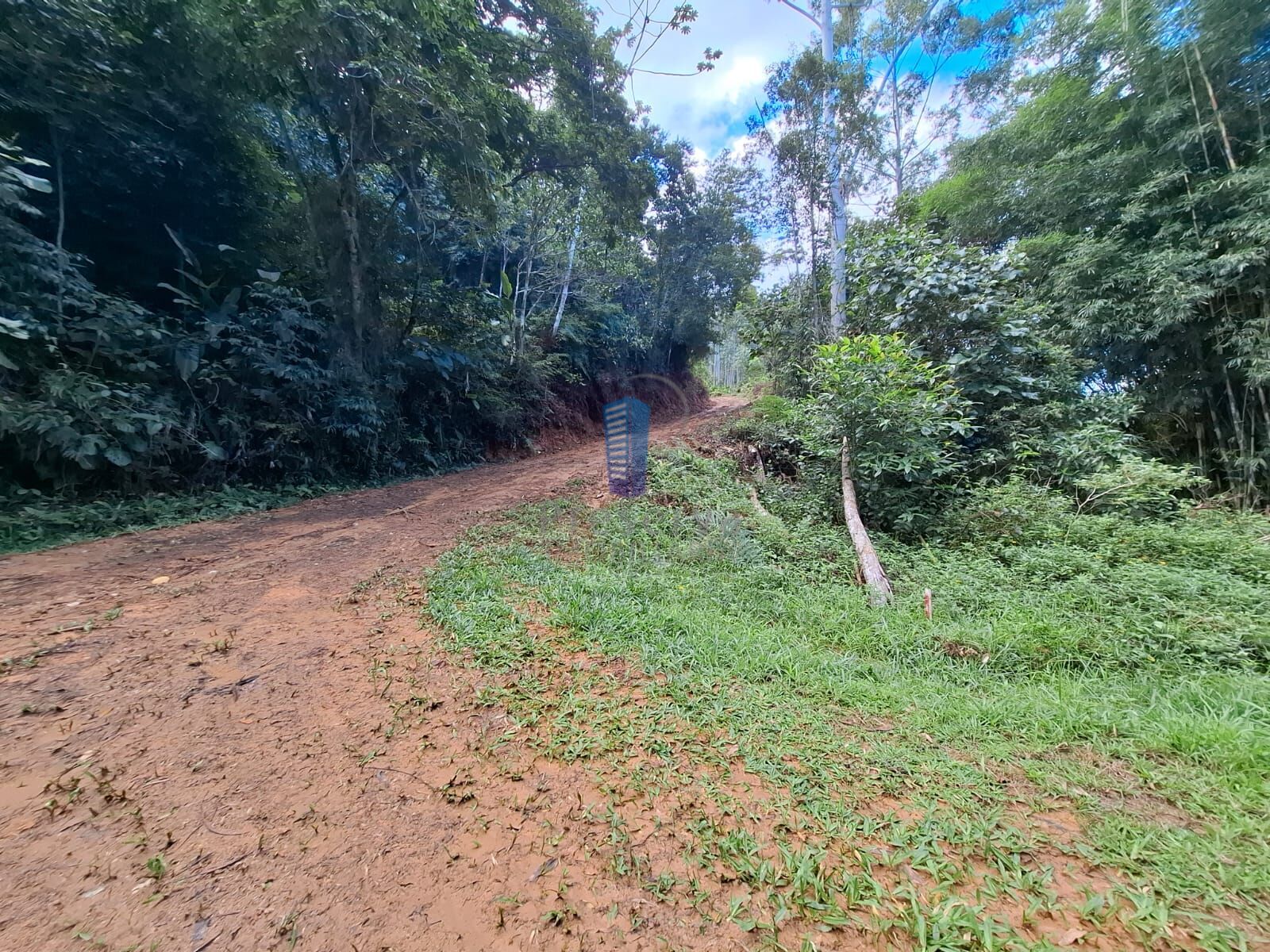 Terreno, 1 hectares - Foto 4