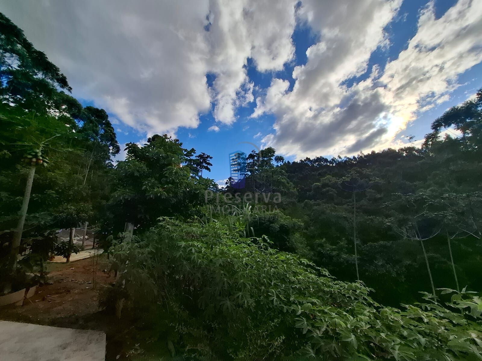 Terreno, 1 hectares - Foto 6