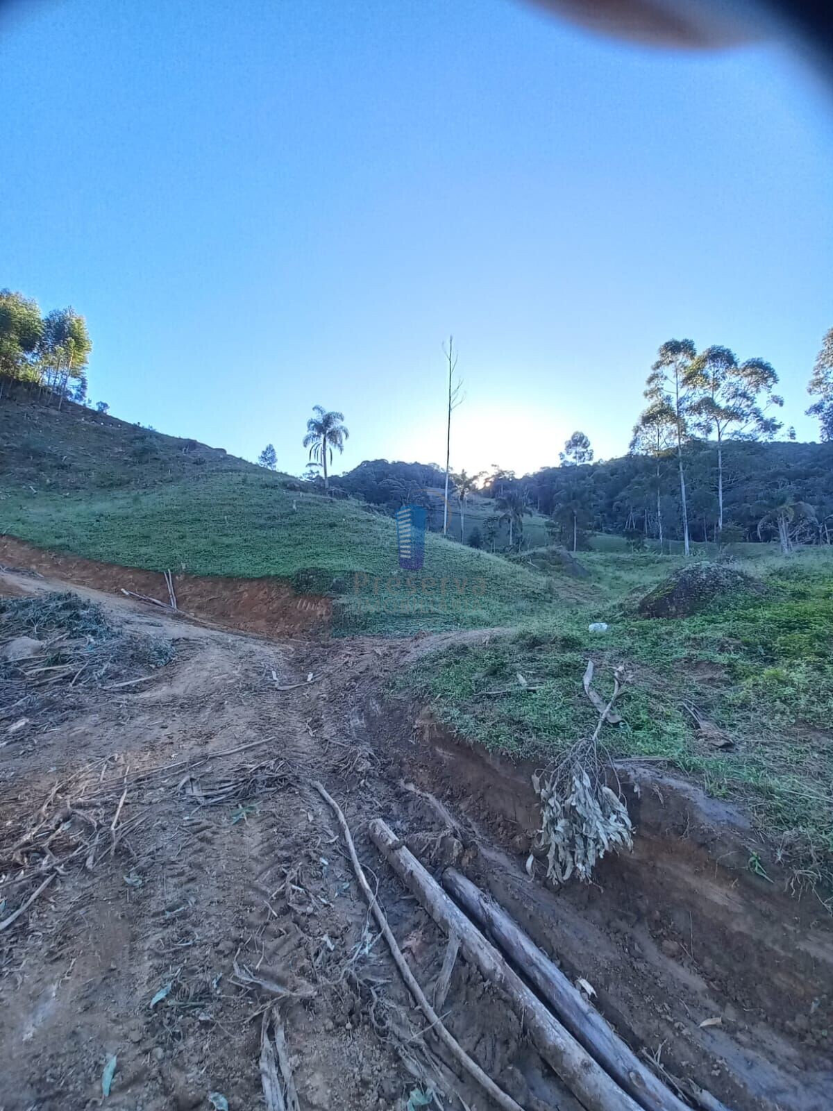 Fazenda à venda, 700000m² - Foto 10