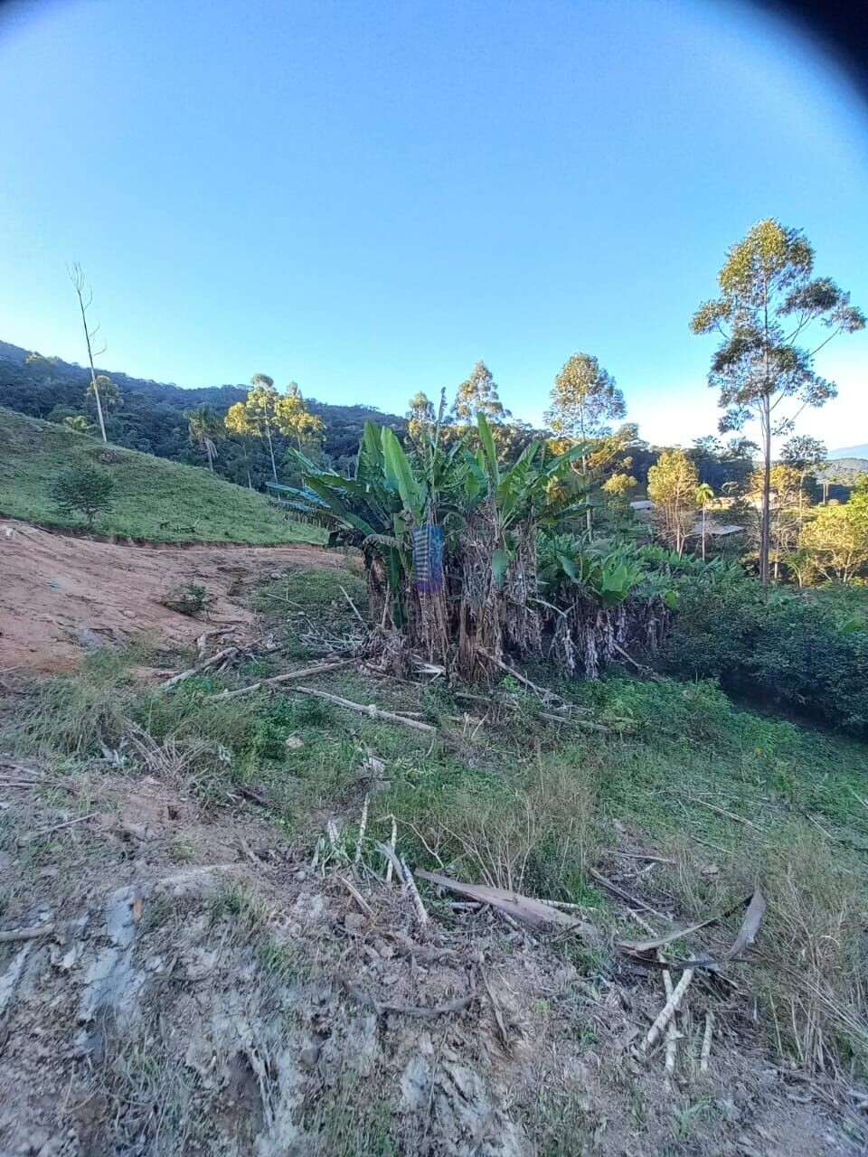 Fazenda à venda, 700000m² - Foto 12