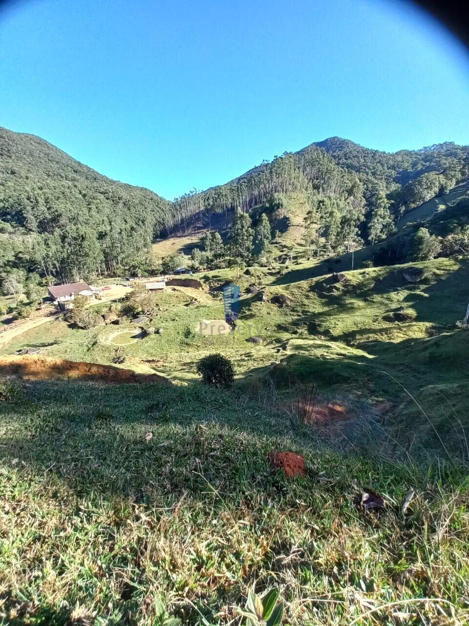 Fazenda à venda, 700000m² - Foto 4