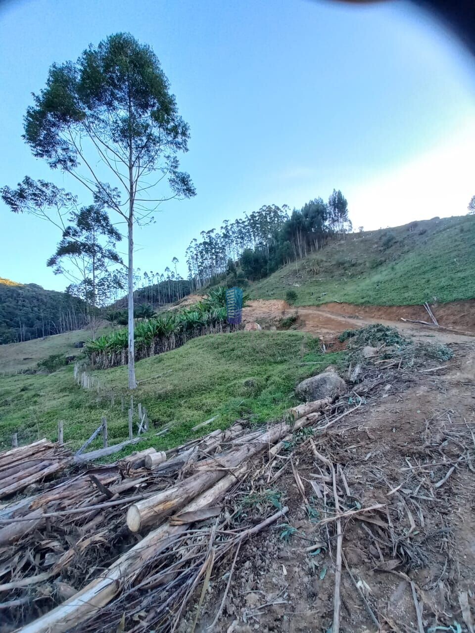 Fazenda à venda, 700000m² - Foto 11