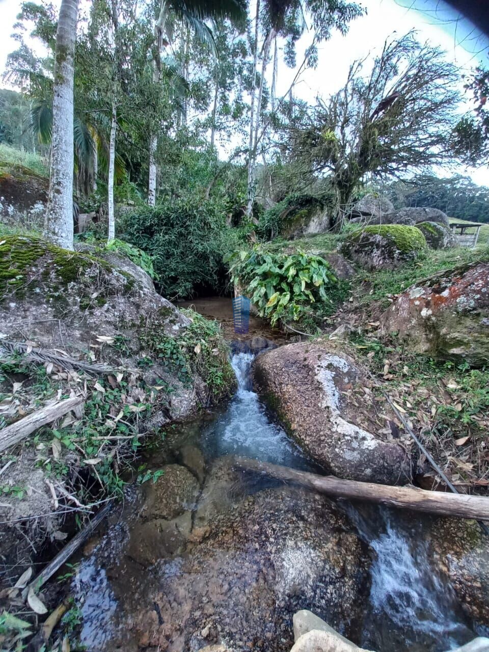 Fazenda à venda, 700000m² - Foto 3