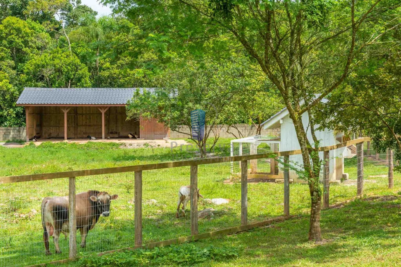 Terreno à venda, 1046m² - Foto 12