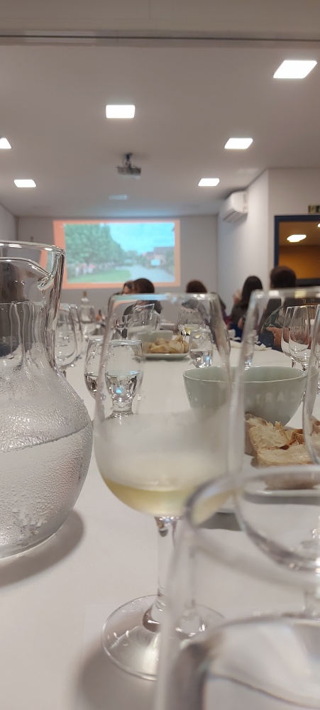 O Núcleo Cultural do Vinho retoma as atividades presenciais trazendo uma seleção de vinhos gaúchos de 2020, considerada uma das melhores safras dos últimos anos. | Foto: Valéria Ochôa