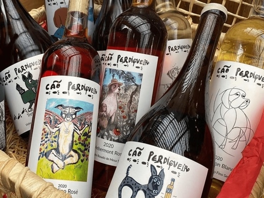 Cão Perdigueiro, caça ao melhor terroir