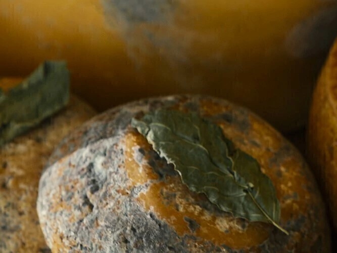 O queijo artesanal gaúcho