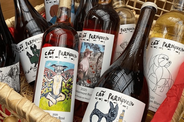 Cão Perdigueiro, uma caça ao melhor do Terroir gaúcho