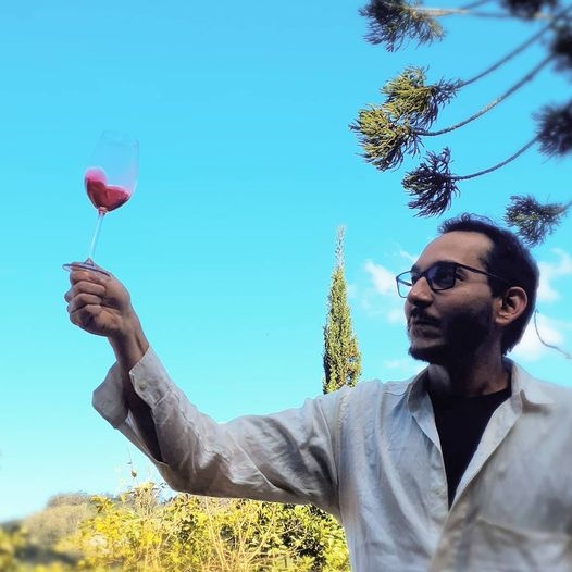 Vinícola Fontanari e o terroir de Pinto Bandeira