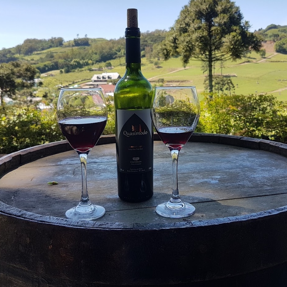 Vinícola Fontanari e o terroir de Pinto Bandeira