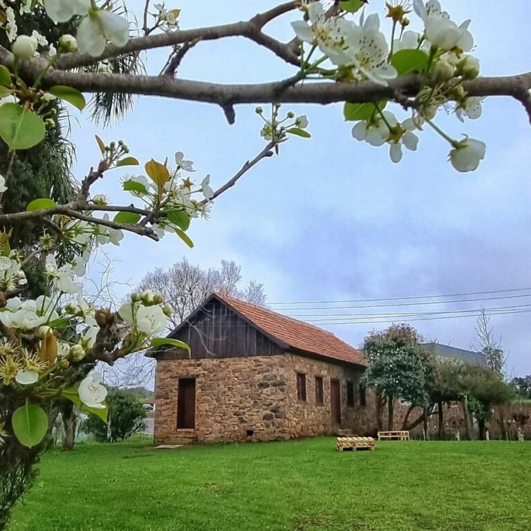 Da Serra à Campanha – Os terroirs do Rio Grande do Sul