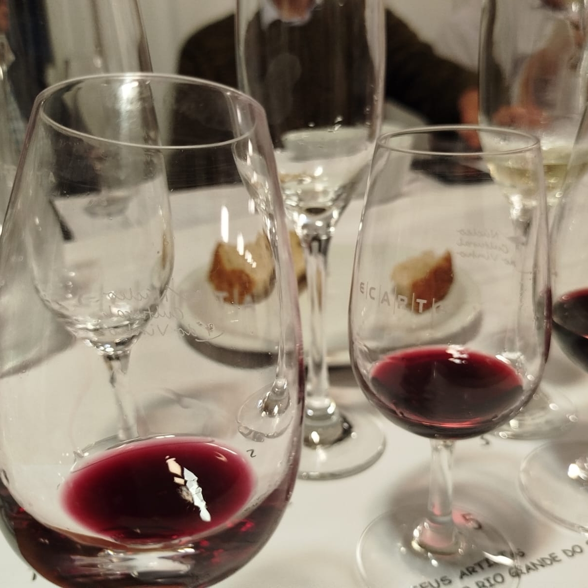 Mitos e verdades que contam sobre vinho