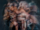 Fantasmagorias da carne: corpos em crise