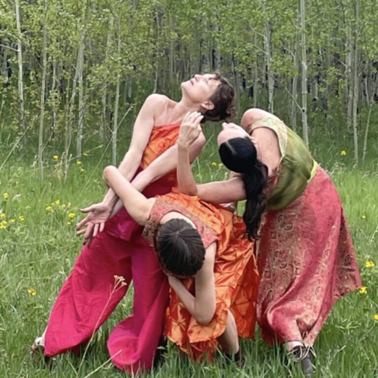 6º Festival Internacional de Videodança