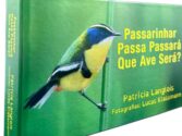 Livro Pássaros de Patrícia Langlois
