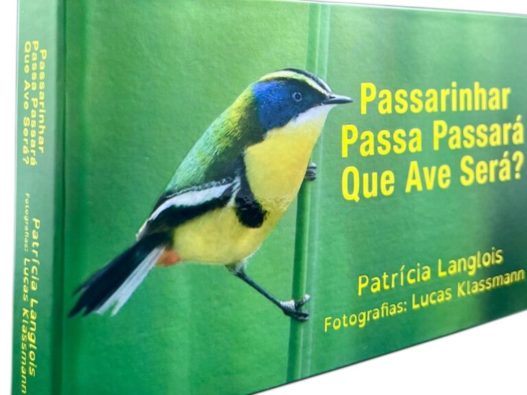 Lançamento de livro-brinquedo