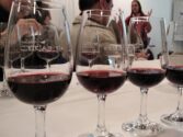Argentina - Malbec Wine Day | Foto: Stela Pastore