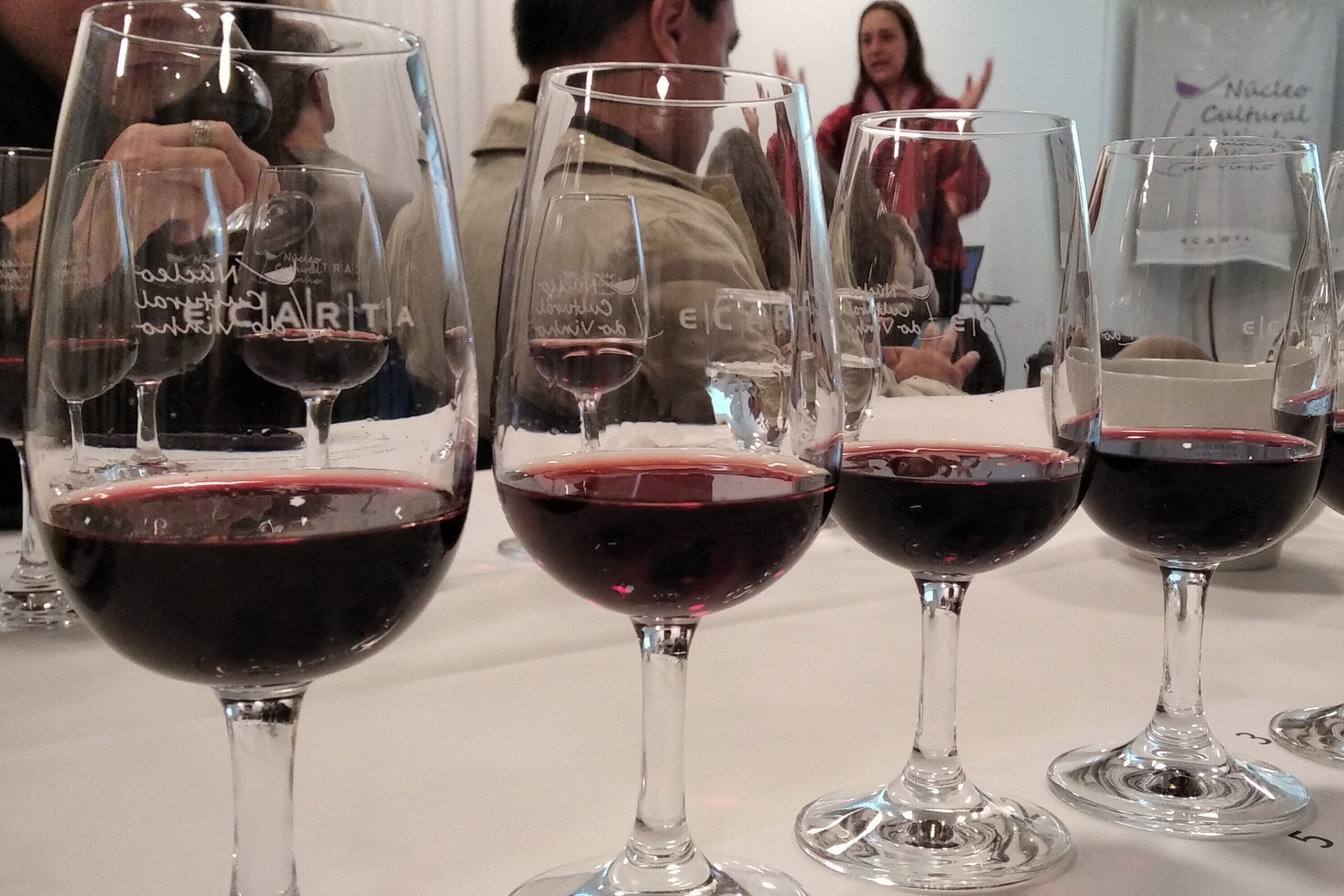 Argentina - Malbec Wine Day | Foto: Stela Pastore
