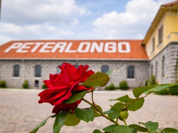 Peterlongo, uma seleção para degustar no inverno Peterlongo, uma seleção para degustar no inverno