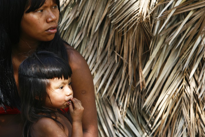 População indígena é vista como obstáculo por exploradores da floresta