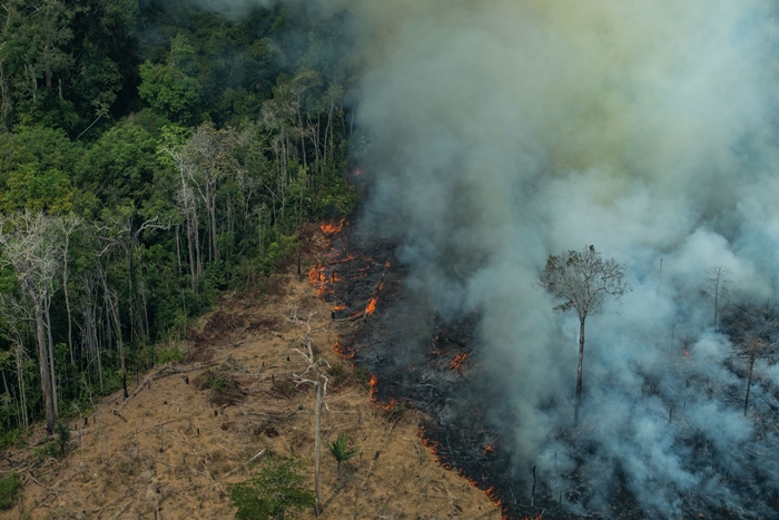 Área queimada em Candeiras do Jamari, Rondônia