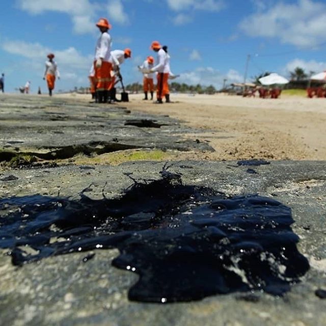 Ações para conter avanço do petróleo sobre as praias foram retardadas em mais de um mês por omissão do governo