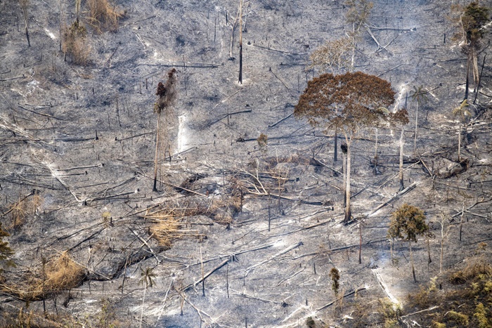 Após o incêndio de 2018, houve aceleração do desmatamento na Amazônia e o início da época dos incêndios florestais é marcado pelo acirramento dos conflitos envolvendo invasões de terras e a intensificação da violência contra os agentes dos órgãos ambientais