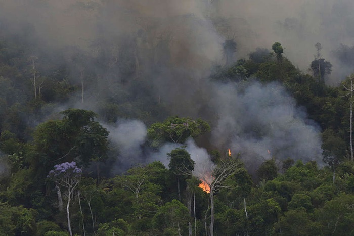 Sobrevoo de monitoramento de queimadas e desmatamento na Amazônia, em setembro de 2019, sobre as regiões do leste do Amazonas, norte do Mato Grosso e oeste do Pará