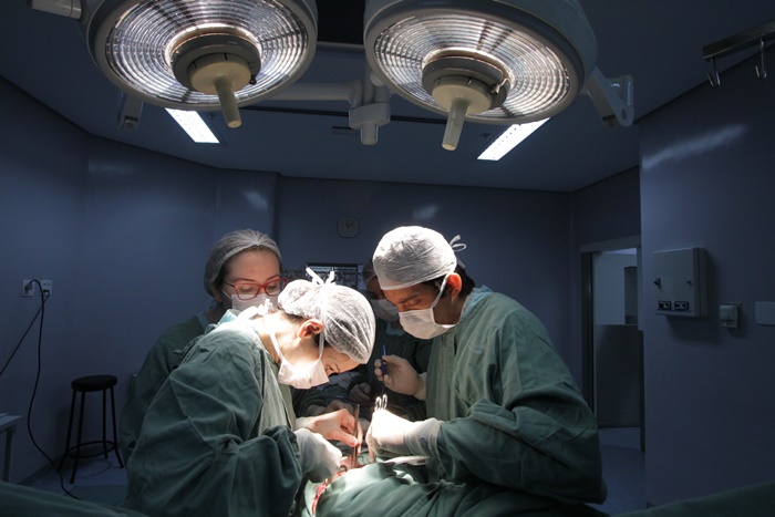 Equipe da Santa Casa de Porto Alegre fez 72 transplantes de órgãos entre janeiro e 20 em julho