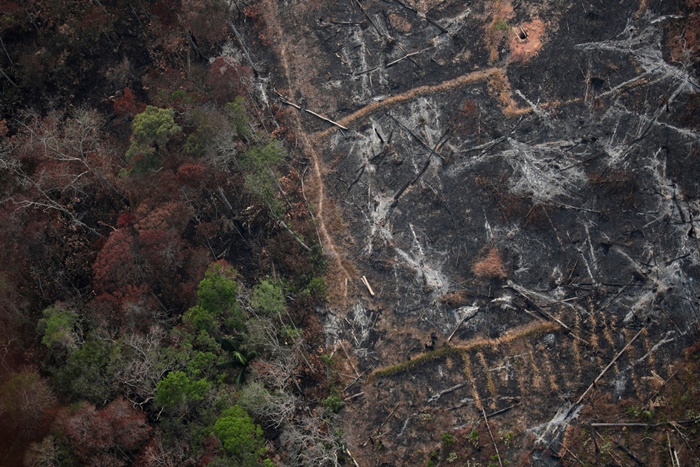 Ação exige que desmatamento na Amazônia seja reduzido a menos de 4 mil km2 até 2021 como determina a Política sobre Mudança do Clima