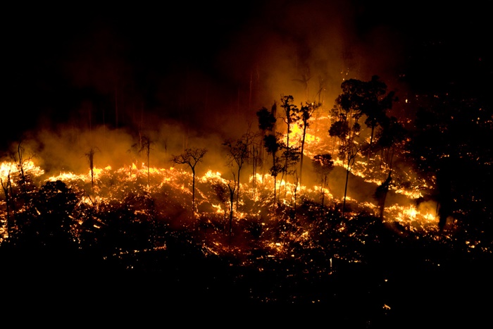 Incêndios na Amazônia: conivência do governo com crimes ambientais