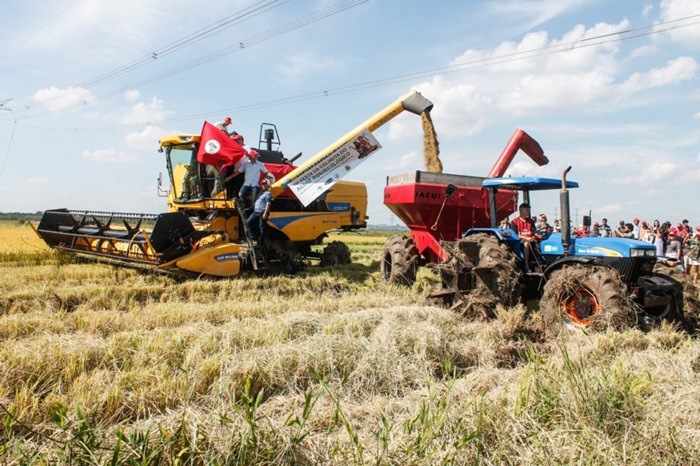 Produção agroecológica de arroz orgânico é a maior da América Latina