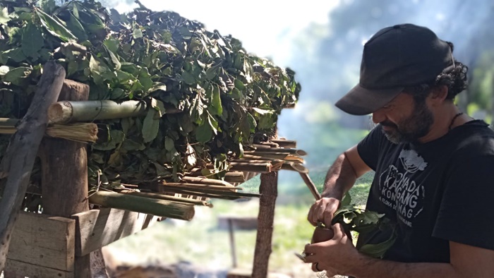 Carijada na Lomba Grande revive ritual indígena para produzir erva-mate