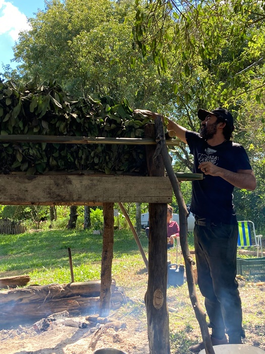 Carijada na Lomba Grande revive ritual indígena para produzir erva-mate