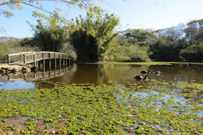Leilão do Jardim Botânico de Porto Alegre fica para 2023